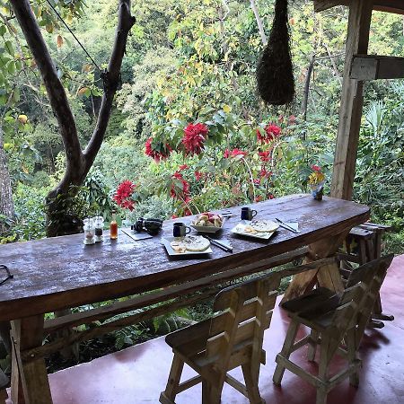 Finca San Rafael - Cafe Y Cacao Minca Bagian luar foto