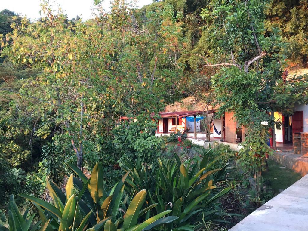 Finca San Rafael - Cafe Y Cacao Minca Bagian luar foto