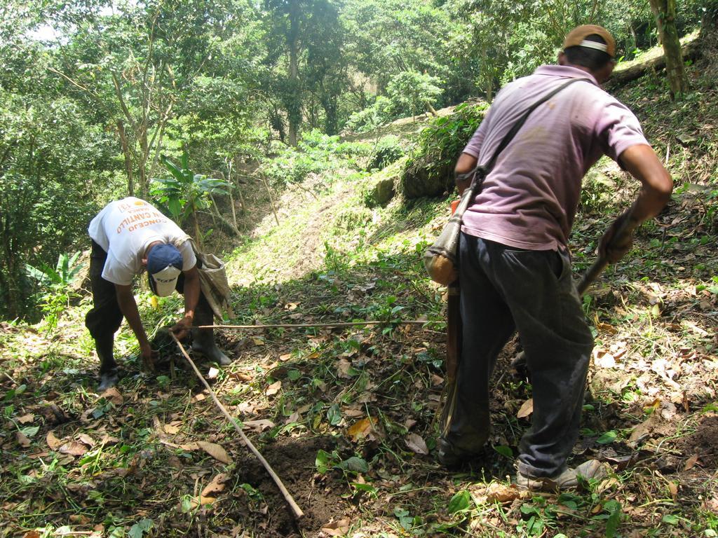 Finca San Rafael - Cafe Y Cacao Minca Bagian luar foto