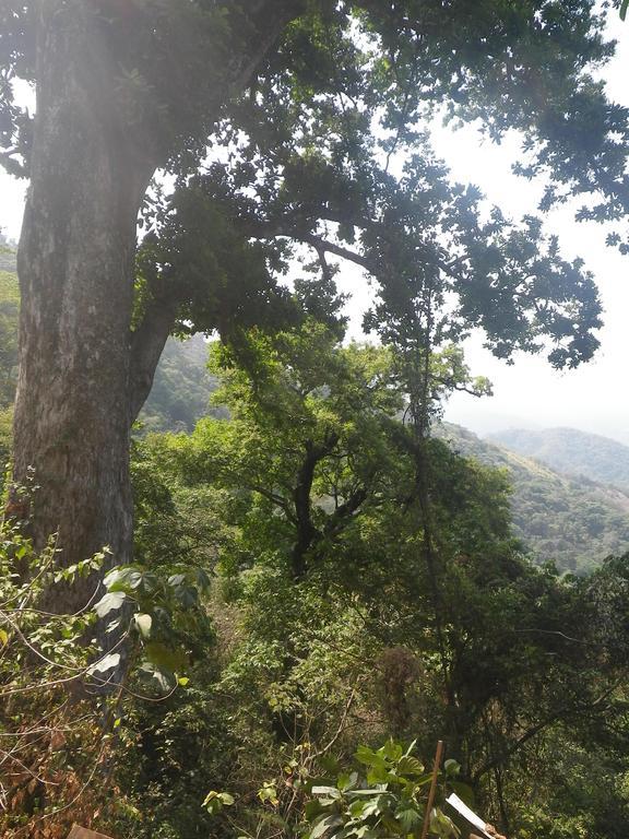Finca San Rafael - Cafe Y Cacao Minca Bagian luar foto