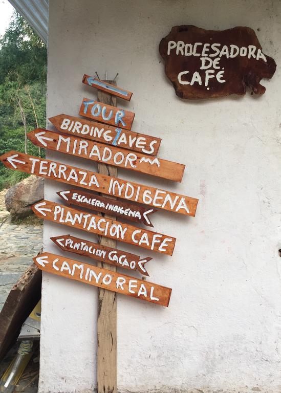 Finca San Rafael - Cafe Y Cacao Minca Bagian luar foto