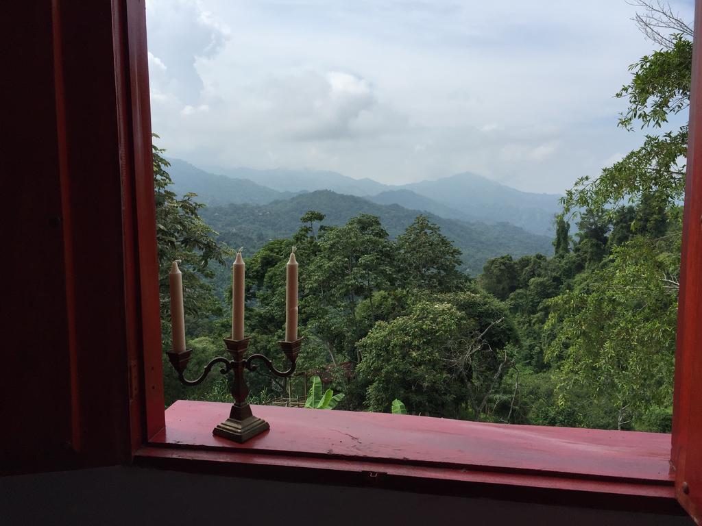 Finca San Rafael - Cafe Y Cacao Minca Bagian luar foto