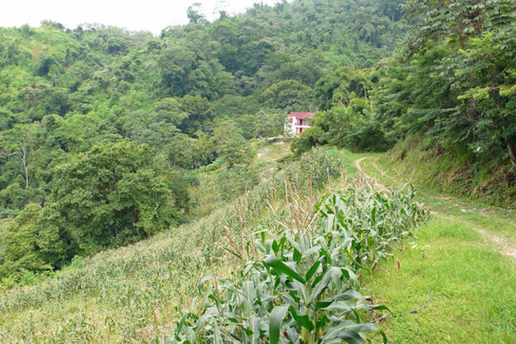 Finca San Rafael - Cafe Y Cacao Minca Bagian luar foto
