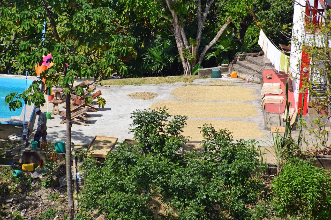 Finca San Rafael - Cafe Y Cacao Minca Bagian luar foto